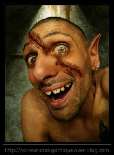 Le raisonnement de cet homme laisse parfois  dsirer. Comment le Jacques Chirac des  Guignols de l'info  le qualifierait-il ?