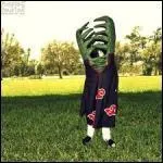 Je suis un homme plante et j'ai deux personnalits. Je m'appelle :