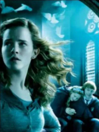 Hermione est blesse (motionnellement ) quand Ron sort avec ... ? (Film 6)