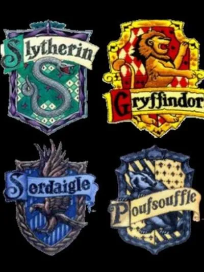 Dans quelle maison le choixpeau l'envoie-t-il ? (Film 1)