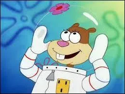 Comment s'appelle cet cureuil, ami du hros de la question prcdant la question 4 ?