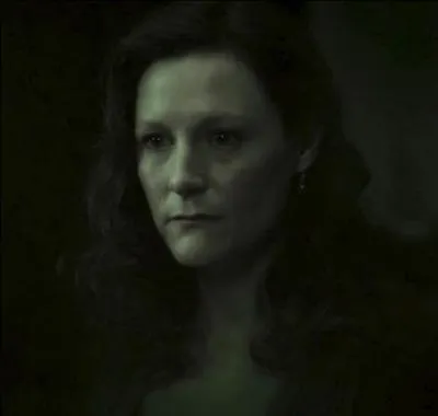 Qui joue Lily Evans adulte ?