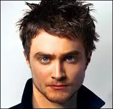 Qui joue le fils de James et Lily Potter ?