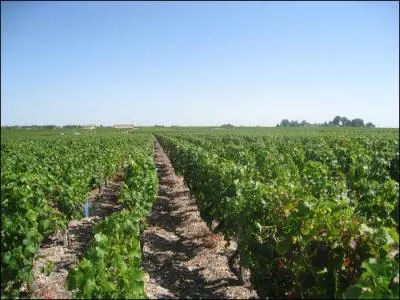 Cochez dans la liste le nom d'un cru de vin rouge .