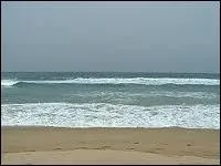 Quelles fleurs le petit ami de Jennifer jette-t-il dans la mer ?