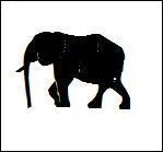 Quel est cet animal ?