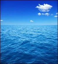 Le poisson nomm hache d'argent vit :