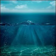 Le sol au fond des ocans se nomme :