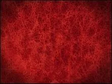 Un poisson nomm vampire des enfers existe-t-il rellement ?