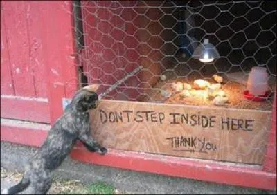 Trouvez le mot correspondant  la photo !