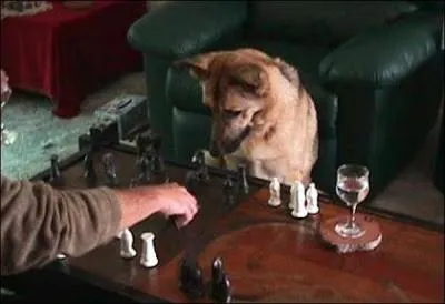 Trouver cette dernire rponse vous vitera d'tre chec et ...