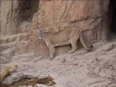 Trouvez la rponse grce  la photo !