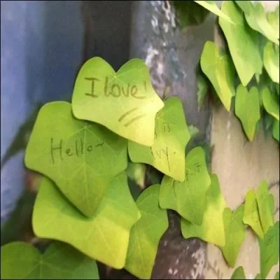 Un arbre au Pays de Galles a 4000 ans :