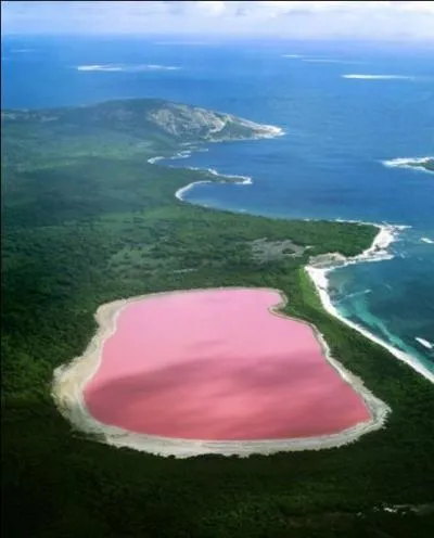 A quoi est due la couleur rose du lac Hillier en Australie ?