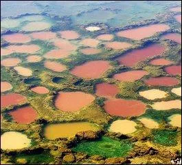 O peut-on admirer ces incroyables bassins multicolores au fond d'un lac sal naturel ?