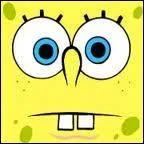 On peut appeler cette ponge de plusieurs noms. Lesquels ?