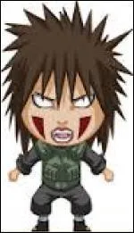 Je suis une jnin de Konoha. Je fais partie du clan Inuzuka et je suis la mre de Kiba & Hana. Comment me nomme-je ?