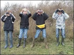 Monsieur et Madame BSERVELESOISEAUX ont un garon membre de Quizz.biz. Comment s'appelle-t-il ?