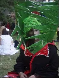  qui est ce Cosplay ?