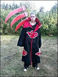  qui est ce Cosplay ?