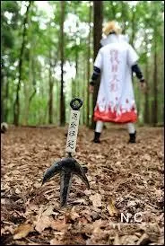  qui est ce Cosplay ?