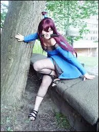  qui est ce Cosplay ?