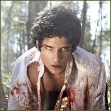 Dans la srie Teen Wolf, il joue le rle de Scott McCall, un jeune lycen qui se fait mordre par un loup-garou :