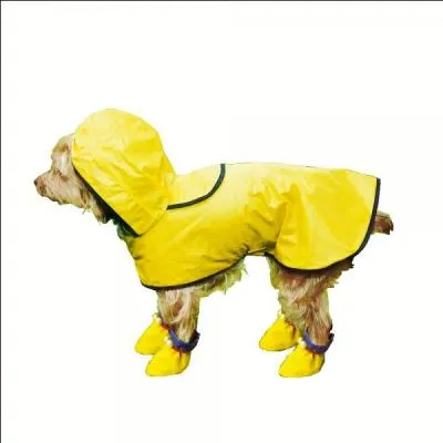 Qui a sorti en 1991 un album intitul le  Manteau de pluie  ?