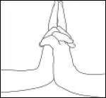 Ce signe de main est le mudra du/de...