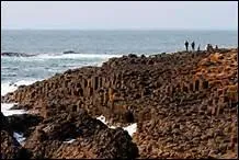 Le site appel la Chausse des Gants est compose d'environ 40 000 ...