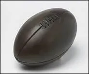 En Irlande, sans surprise, le vert est la couleur des maillots des sportifs. Quel est l'emblme que les rugbymen irlandais associent  ce vert ?