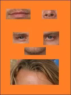 Qui est-ce ? (si besoin, cliquer sur l'image pour agrandir)