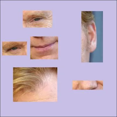 Qui est-ce ? (si besoin, cliquer sur l'image pour agrandir)