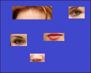 Qui est-ce ? (si besoin, cliquer sur l'image pour agrandir)