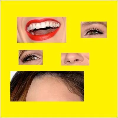 Qui est-ce ? (si besoin, cliquez sur l'image pour agrandir)