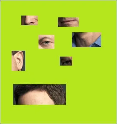 Qui est-ce ? (si besoin, cliquer sur l'image pour agrandir)