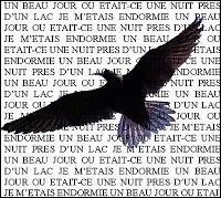 En 1970, prs de quelle chanteuse, cet oiseau a-t-il surgi ?