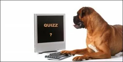 Avec les ordinateurs quantiques, tout le monde pourra aller sur le site ! Une particule peut se trouver  deux endroits  la fois :