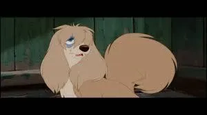 Qui est cette chienne de la fourrire ?