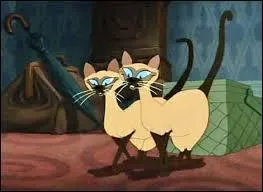 De quelle couleur est le poisson que  Si et Am  essaient de manger ?