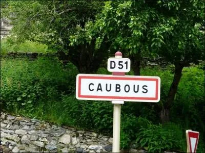 Dans quel dpartement se trouve Caubous ?