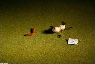 Examinez l'image pour trouver le pays !