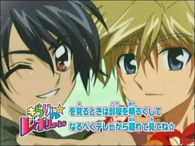 Qui sont les Ships ?