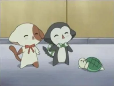 Comment s'appelle la tortue de Seiji ?
