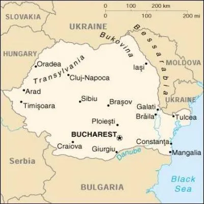 Dans quel pays Charlie, un des fils Weasley, tudie-t-il les dragons ?