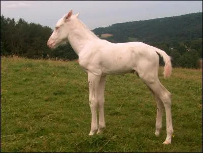 Donc, d'aprs les deux questions prcdentes, on conclut que :