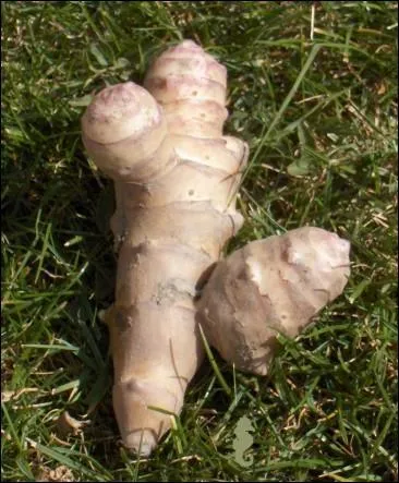 Qu'est-ce que c'est ?