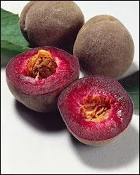 Qu'est-ce que c'est ?