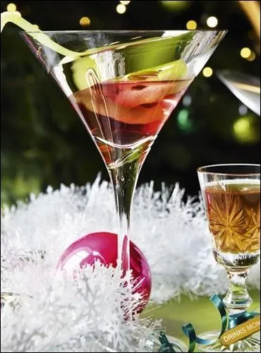 Pour sa fte de Nol, qui Evelyn a-t-elle embauch pour servir les invits ?