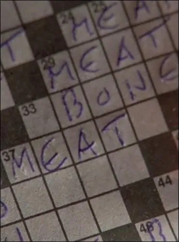 Lorsque Jean veut aider Patrick  faire des mots-croiss, celui-ci a rempli toutes les cases avec les mots :